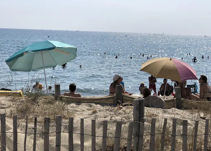 شقة T2 Avec Alcove A Saint-cyprien, Pkg, Proche - Fr-1-793-8 سان سيبريان